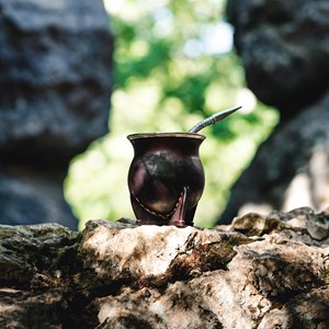 Calebasse à maté camionero - alpaca