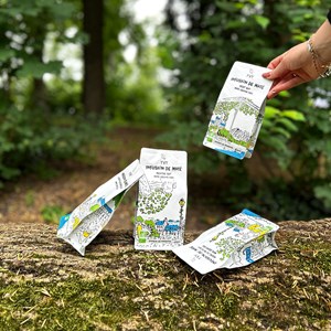 Infusion de maté - vert bio