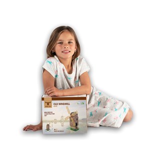 Vieux moulin - mini-briques