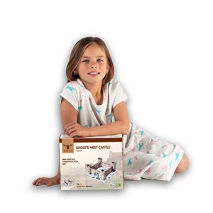 Château du nid d'aigle - en mini briques