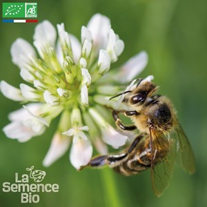 Mélange nectarifère pour abeilles - gr
