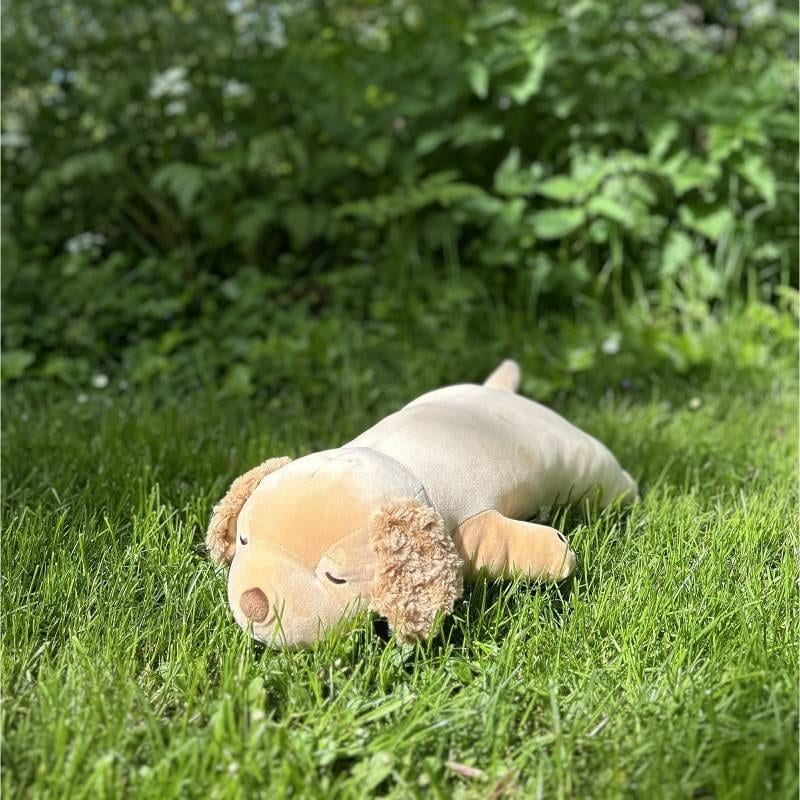 Peluche sora le chien golden retriever l (Bon toy toys) - Image 1