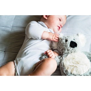 Peluche bouillotte koala warmies