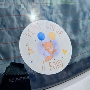 Autocollant voiture bébé à bord mixte