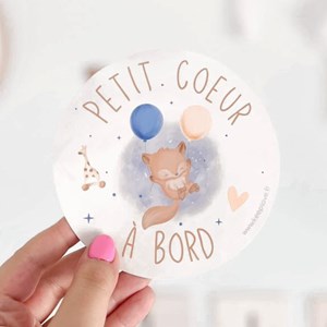 Autocollant voiture bébé à bord mixte