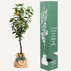 Poirier conférence - cadeau naturel