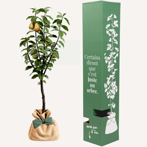 Poirier conférence - cadeau naturel