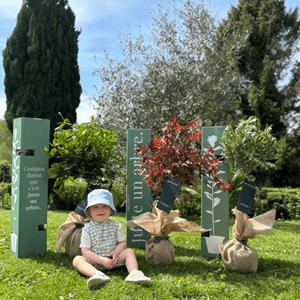 Poirier conférence - cadeau naturel