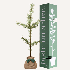 Pin sylvestre  - cadeau personnalisé