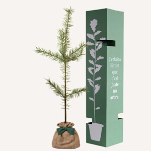 Pin sylvestre  - cadeau personnalisé