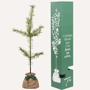 Pin sylvestre  - cadeau personnalisé