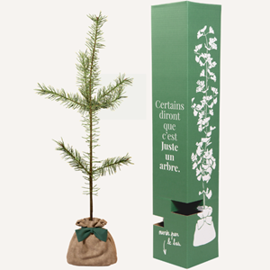 Pin sylvestre  - cadeau personnalisé