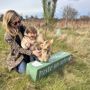 Hêtre pourpre - idée cadeau