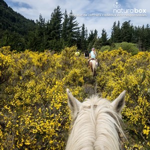 Eco-activités - coffret digital