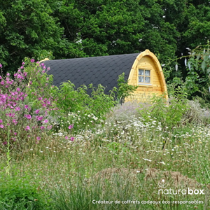 Naturellement bretagne - coffret digital