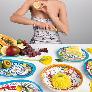 Lot de 6 assiettes creuses en mélamine