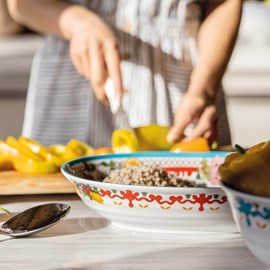 Lot 2 saladiers en mélamine à motifs