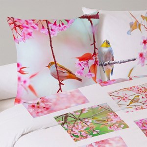 Housse de couette 240x220 oiseau + 2 tai