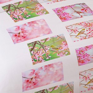 Housse de couette 240x220 oiseau + 2 tai