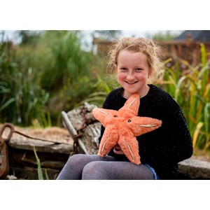 Peluche etoile de mer 100% recyclée