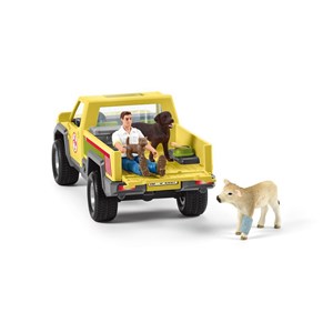 42503 - visite du veterinaire a la ferme