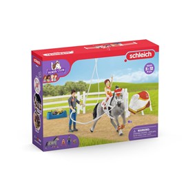 42443 - entrainement a la voltige