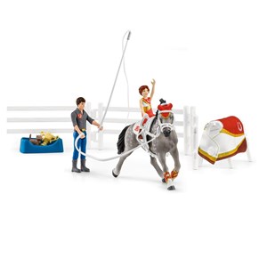 42443 - entrainement a la voltige