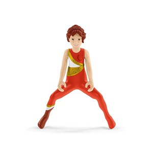 42443 - entrainement a la voltige