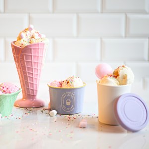 Set de 4 pots à glace 220 ml, gelatéri