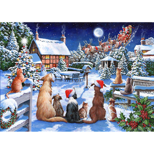 N°19 - pattes du père noël 500pc puzzle