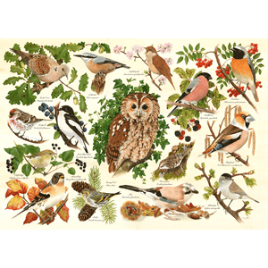 Oiseaux des bois big 500pc puzzle