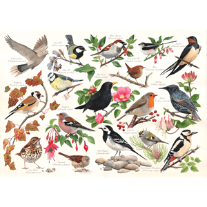 Oiseaux dans mon jardin 1000pc puzzle