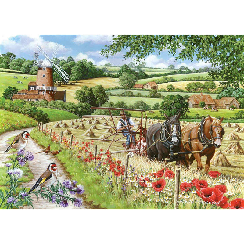 Voie du moulin à vent big 500pc puzzle
