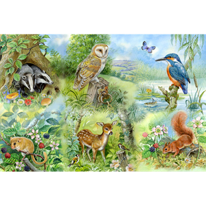 Étude de la nature big 250pc puzzle