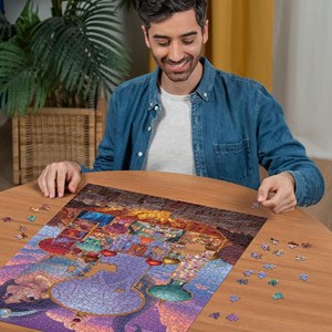 Puzzle jasmine châteaux disney 1000 pi?