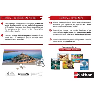 Puzzle les monuments de paris 1000 pcs