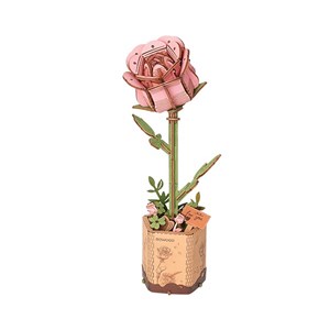 Maquette la rose