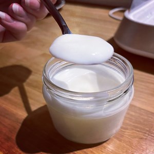 Ferments classiques pour yaourts