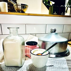 Ferments fromage blanc