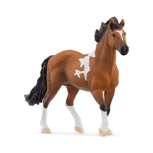13978 etalon mangalarga marchador
