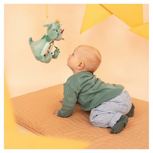 Joe le dragon coucou miroir