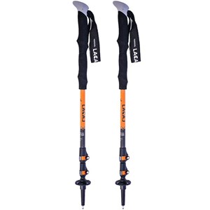 Bâtons télescopiques lacal carbon stick