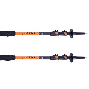 Bâtons télescopiques lacal carbon stick