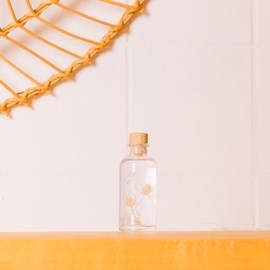 Plante immergée petit chardon h12