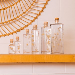 Plante immergée petit chardon h26