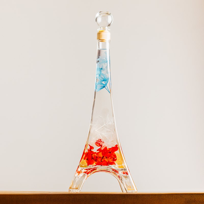 Plante immergée - tour eiffel tricolore