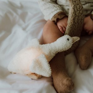 Peluche lumineuse liva l'oie