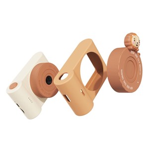 Appareil photo urbain lion