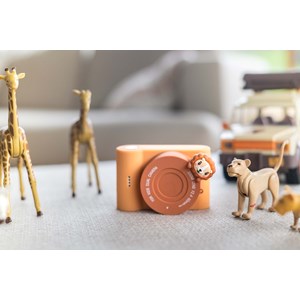 Appareil photo urbain lion