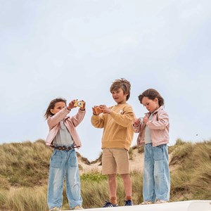 Appareil photo urbain lion